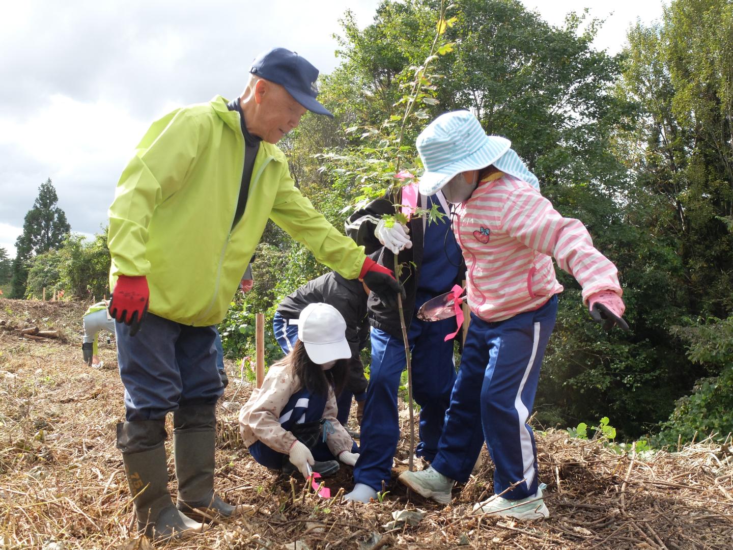 二ツ井小もみじ植樹体験